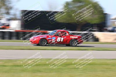 media/Mar-16-2024-CalClub SCCA (Sat) [[de271006c6]]/Group 6/Race/